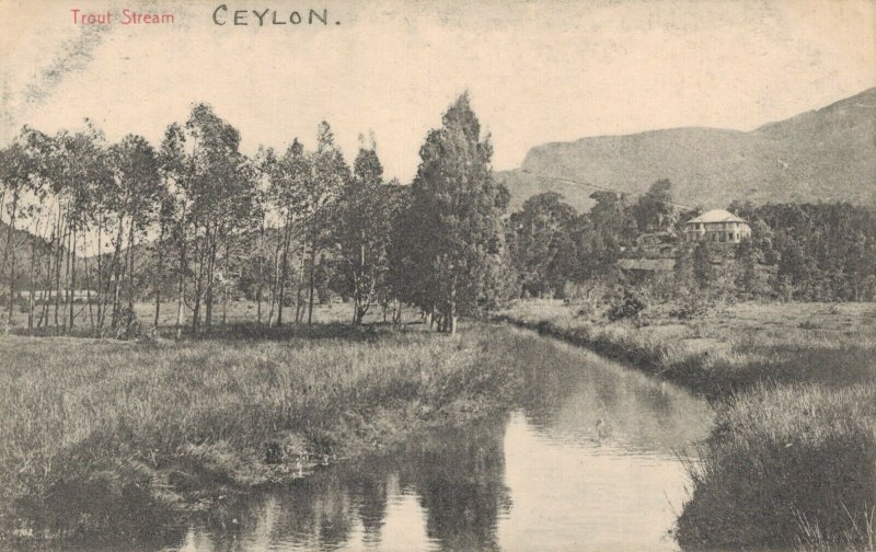 Ceylon Trout Stream Ceylon 03.07