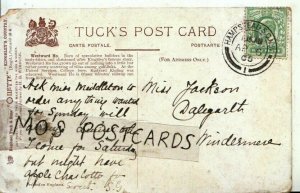 Genealogy Postcard - Jackson - Dalegarth - Windermere - Ref 294B 