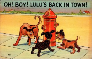 Oh! Boy! Lulu's Back in Town Dogs Comic BIN