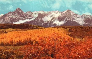 Postcard Mountain Majesty Flower Blossoms Picturesque Scene Garden Colorado CO