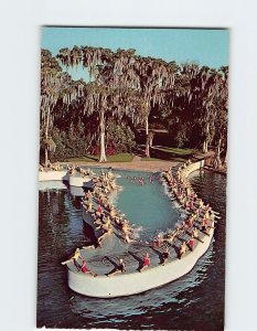 Postcard Esther Williams Swimming Pool Florida's Cypress Gardens USA