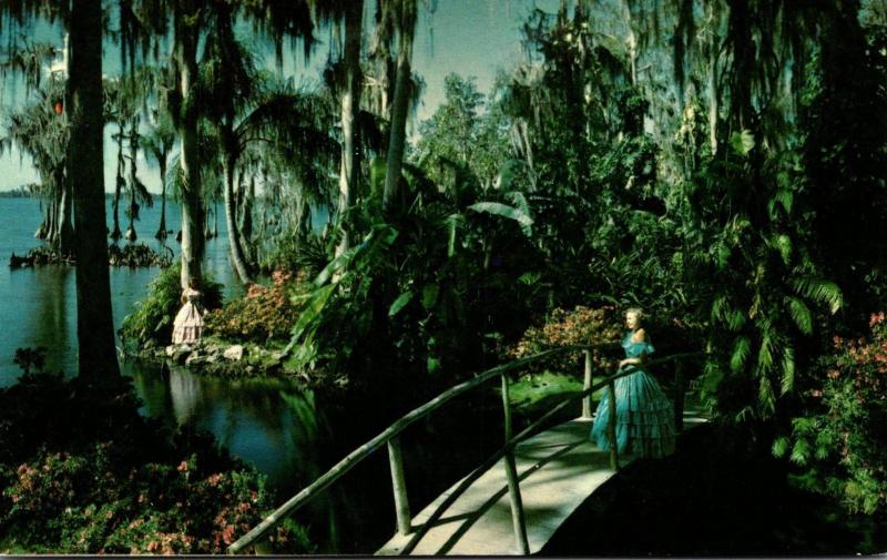 Florida Cypress Gardens Beautiful Flowers Palms Cypress and Banana Trees