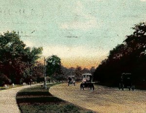 1909 CHICAGO WASHINGTON PARK DRIVEWAY EARLY AUTOS BENCHES POSTCARD 25-120