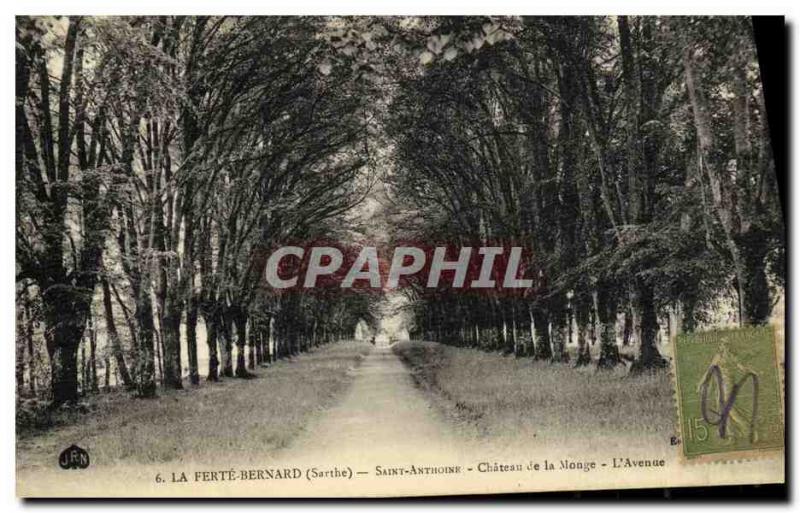 Old Postcard La Ferte Bernard Saint Anthoine Chateau de Monge The Avenue