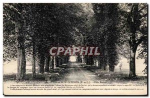 Postcard Old Maintenon Chateau Allee Racine