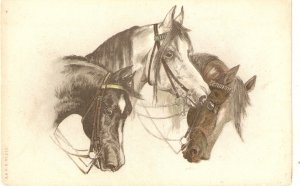 Three horses nICE Old vintage German  art  postcard