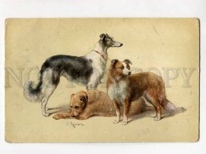 3078714 RUSSIAN POSTMARK Railway Station VOLOGDA & COLLIE dogs