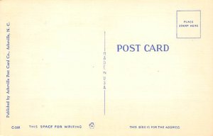 Man Measuring a Huge Fish Comic Fishing Unused 