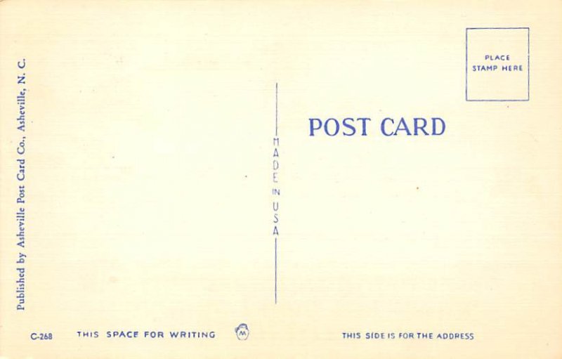 Man Measuring a Huge Fish Comic Fishing Unused 