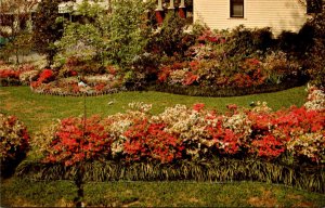 Mississippi McComb Beautiful Flower Beds Residential Scene