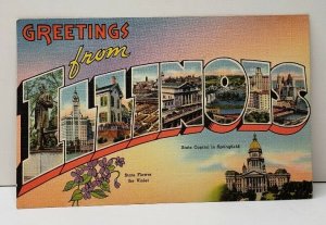 Greetings from Illinois Linen Era 1951 Postcard B20