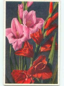 Very Old Foreign Postcard BEAUTIFUL FLOWERS SCENE AA4649