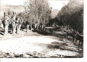 Postal 025127 : Riera - Vistas de Aliaga (Teruel)