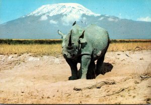 Kenya Rhinocerus At Mount Kilimanjaro 1982