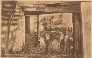 CLOVELLY, TEMPLE BAR & DONKEYS, Devon - Vintage POSTCARD