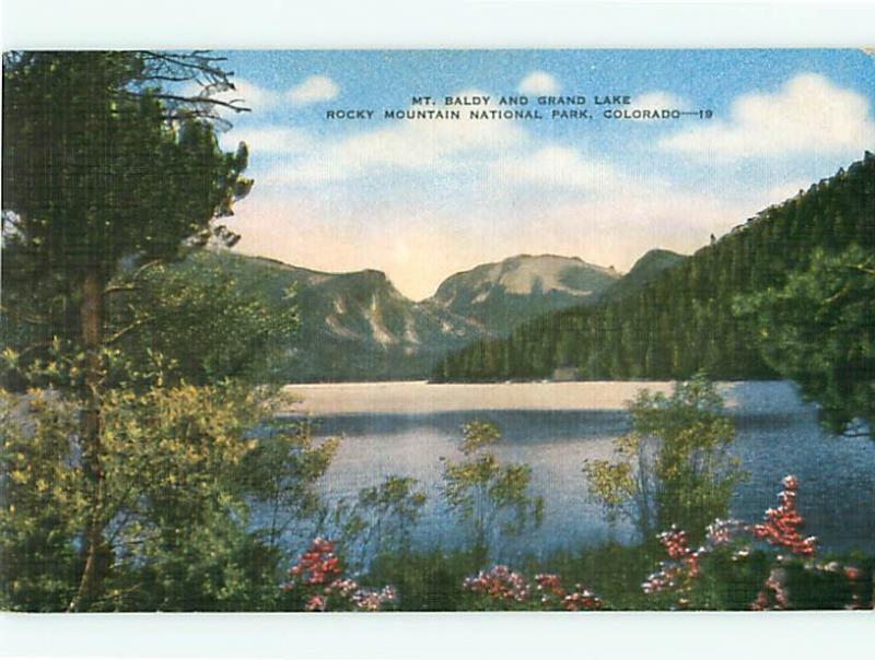 MT Baldy CO Grand Lake Rocky Mountain National Park 19   Postcard # 5568