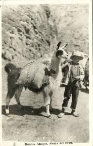 peru, Buenos Amigos, Young Boy with Llama (1950s) RPPC Red Cancel