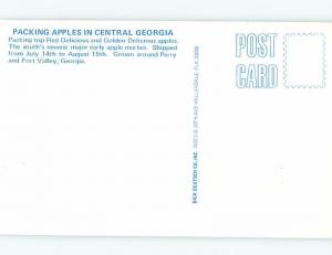 Unused Pre-1980 PACKING APPLES AT WAREHOUSE Perry & Fort Valley GA c6725-12