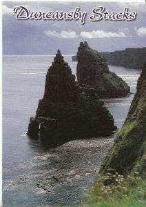 Scotland Postcard - Duncansby Stacks - Caithness   AB1608