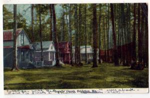 Ingalls Grove, Bridgton ME