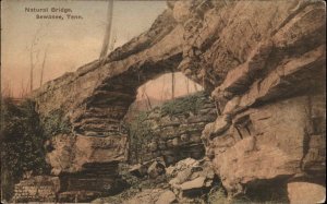 Sewanee Tennessee TN Natural Bridge c1920 Albertype Vintage Postcard