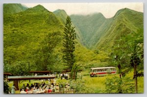 Maui Lao Valley Kepaniwai Park Hawaii Postcard P25