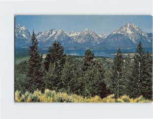 Postcard Teton Range From Signal Mountain, Jackson Hole, Wyoming