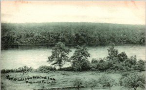 Dingman's Ferry, Pennsylvania - View of Lake from Nichecronk House - 1910