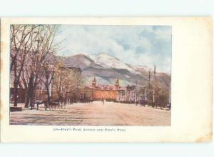 Unused Pre-1907 HORSE ON PIKES PEAK AVENUE Colorado Springs Colorado CO n5480