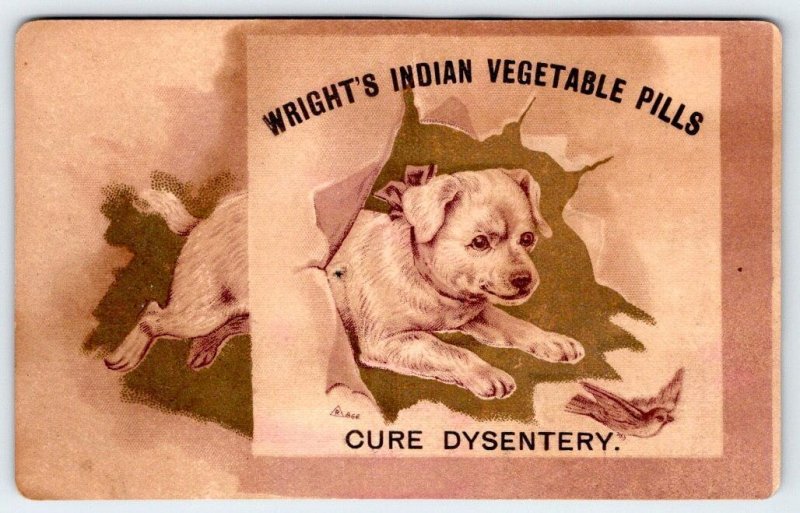 1880's WRIGHT'S INDIAN PILLS CURE DYSENTERY DOG PUPPY CHASES BIRD TRADE CARD