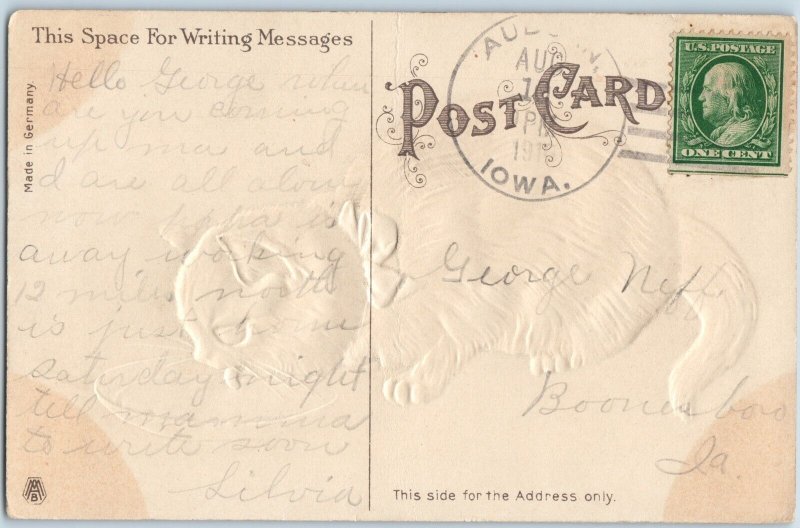 c1910s Embossed Cute Black Cat Drinking Milk Kitten Eating Water Postcard A190