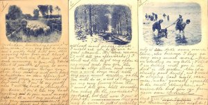 Lot of 3 Dutch mono-chrome postcards 1902 Netherlands local motifs & landscapes 