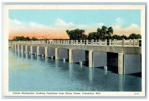 c1940 Intake Headgates Upstream Sluice Gates Columbus Nebraska Vintage Postcard