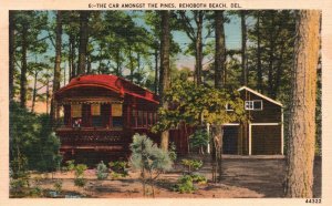 Car Amongst The Pines Landmark Rehoboth Beach Delaware DE Harry Pub. Postcard
