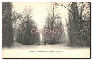 Old Postcard Chantilly Three Avenues in front of the castle