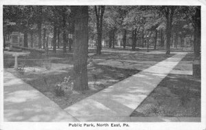 North East  Pennsylvania Public Park Scenic View Vintage Postcard AA64683