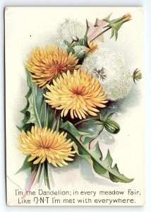 c1880 CLARK'S O.N.T. SPOOL COTTON DANDELION FLOWERS VICTORIAN TRADE CARD P1990