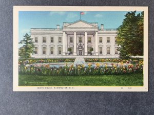 White House Washington DC Litho Postcard H2199080302