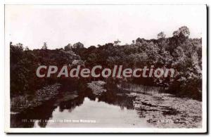 Postcard Old Vivonne (Vienne) The Clain under Monverdon