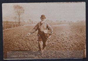 A Sower of the Old School - 1916