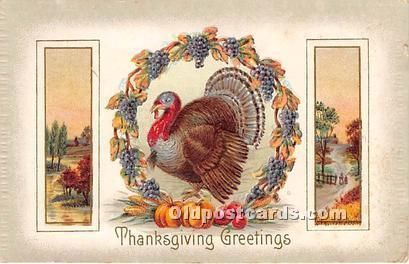  Thanksgiving Greetings Postcard 