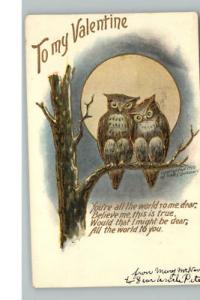 VALENTINE Fred Lounsbury Owls c1910 Postcard