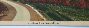 Vintage Postcard Greetings From Paragold Arkansas Linen Unposted