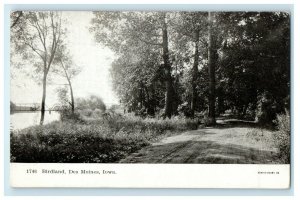 c1905 Birdland Dirt Road Des Moines Iowa IA Unposted Antique Postcard 