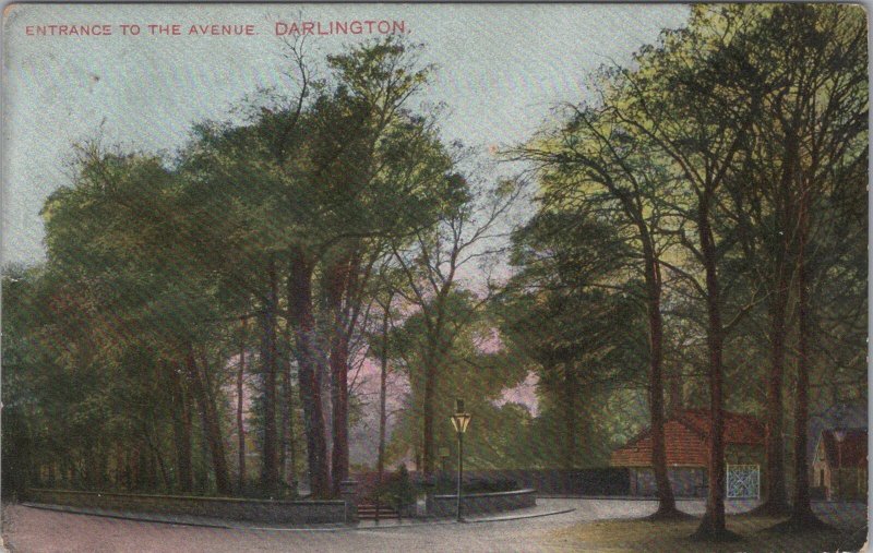 Co Durham Postcard - Darlington, Entrance To The Avenue  RS36829