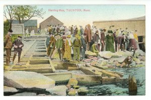 MA - Taunton. Herring Run