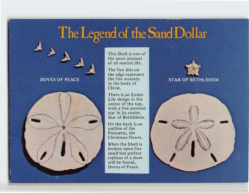 Postcard The Legend of the Sand Dollar, Florida