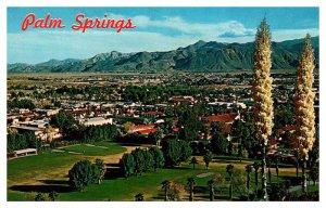 Postcard PANORAMIC SCENE Palm Springs California CA AR3091