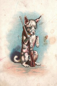 1880s-90s Dog Holding Gun Colored Trade Card