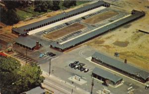 Mount Ephraim New Jersey~Bo-Bet Motel & Coffee Shop Aerial View~Gas Station~1954